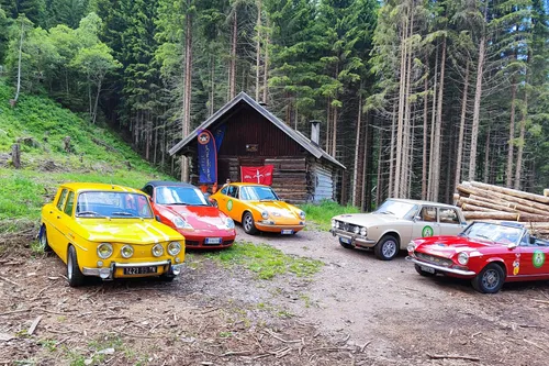 ASI Stella Alpina Green 1