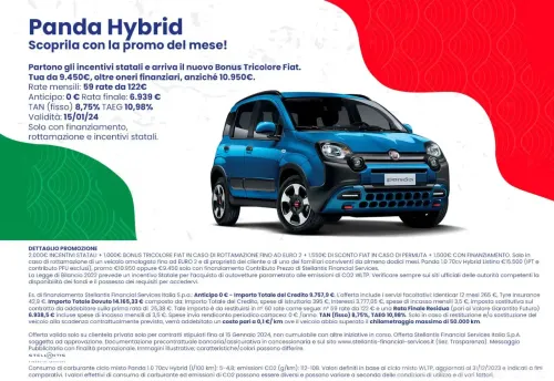 fiat panda tricolore