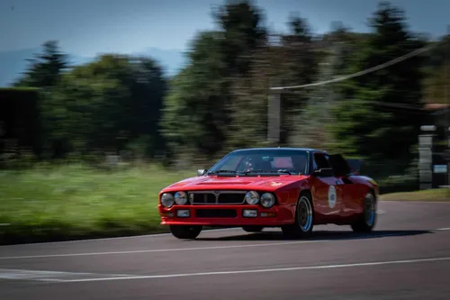 Festival Car--2023-5