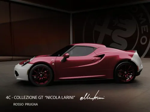 4ccollezionegtnicolalarini