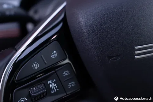 tasti volante byd seal u dm-i