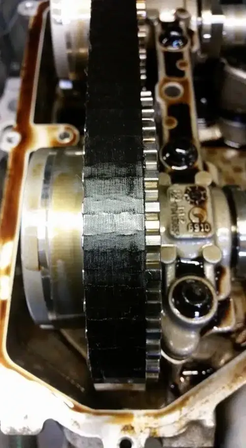 cinghia di distribuzione 12 puretech danneggiata