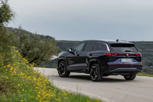 dinamiche tayron posteriore