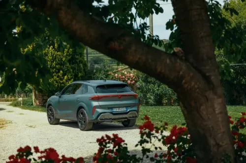 cupra terramar posteriore