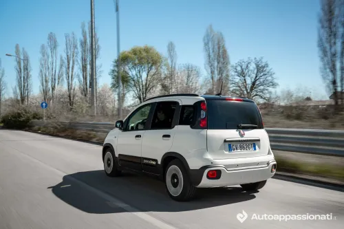fiat pandina 2025 dinamica posteriore laterale