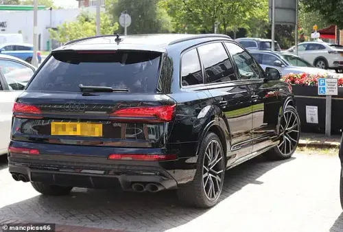 auto rooney disabili 2