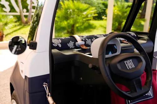 topolinovilebrequincollectorsedition 4