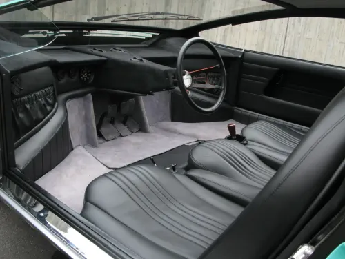 interni bizzarrini manta