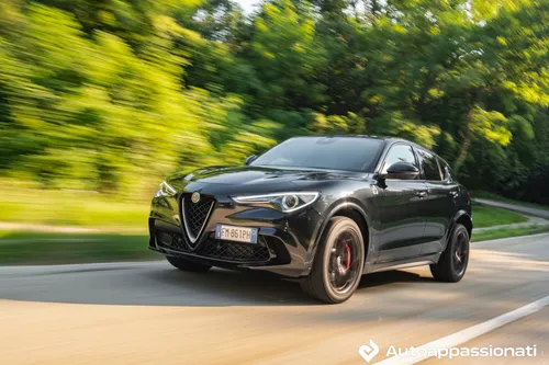 stelvio quadrifoglio 03