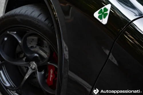 stelvio quadrifoglio 41