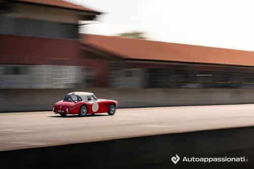 Austin-Healey 3000 2083 NX Autoappassionati 2