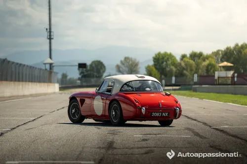 Austin-Healey 3000 2083 NX Autoappassionati 3