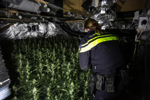 2020 zh1a6361jpg drugs pm 011