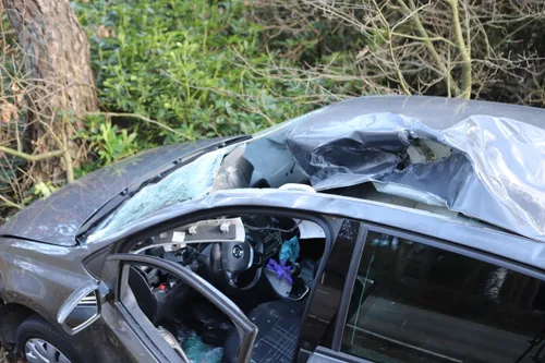 20220226145601 img 5938