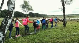 cam00091 640x350 300x164