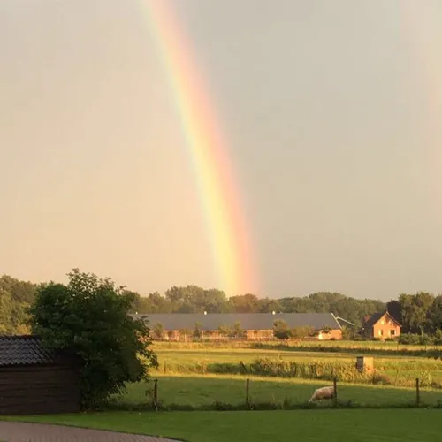 csm regenboog wim en marja de vries d8d56ace2c