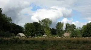 img 1801 640x350 300x164