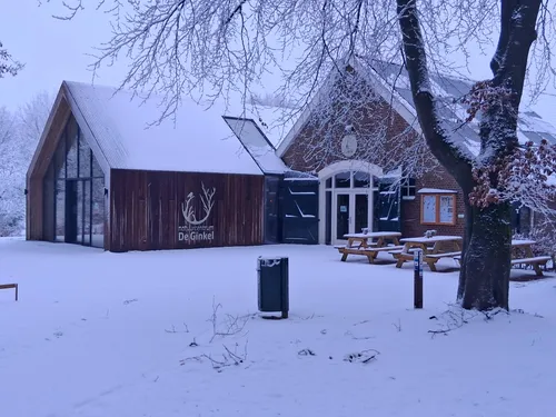 20260103_nc de ginkel in de sneeuw