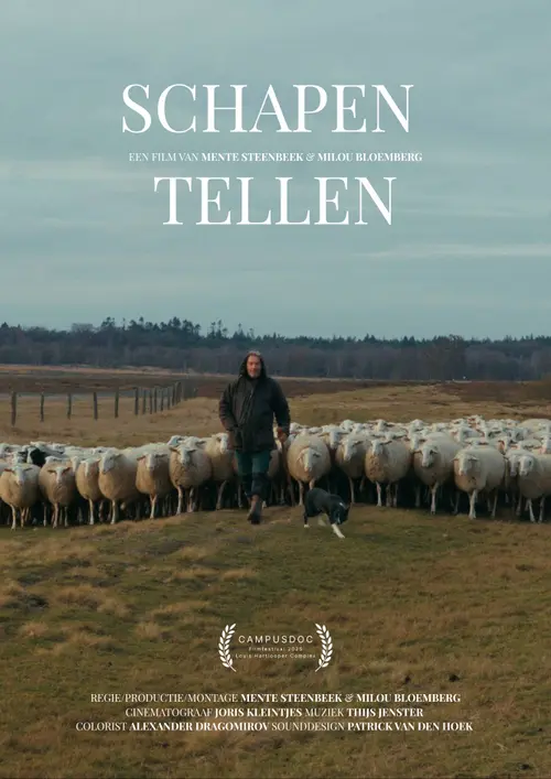 filmposter schapen tellen v1 verkleind (1)