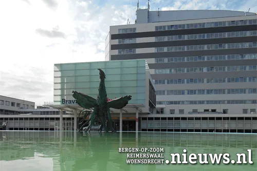 20170923 boz bravis21