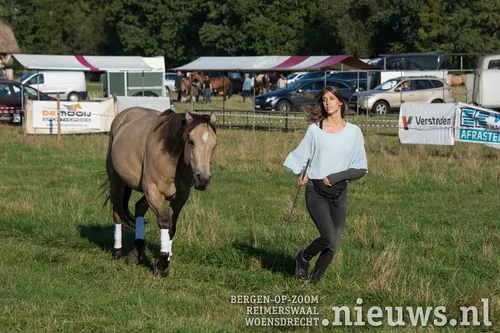20170923 huij paarden 017