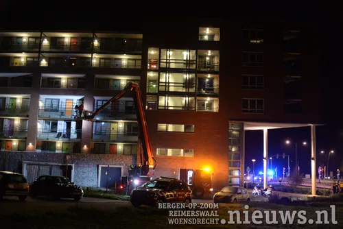 20171 14 boz brand goudbaard 002