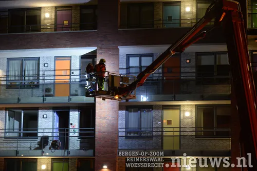 20171 14 boz brand goudbaard 003