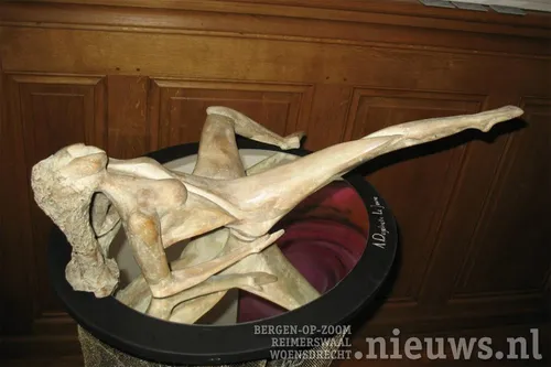 20171228 boz arsis 005