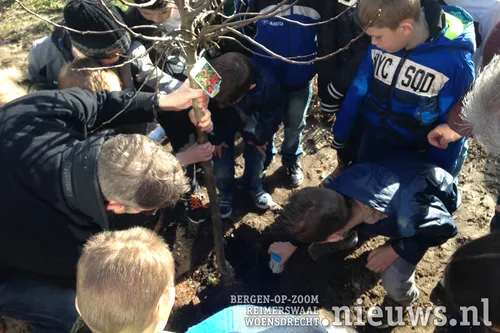 20180322 boz boompjes 003