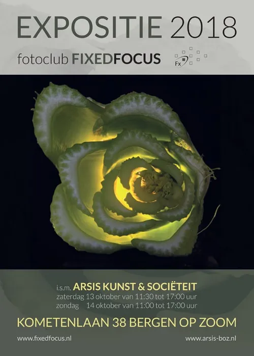 20181001 boz fixedfocus 001