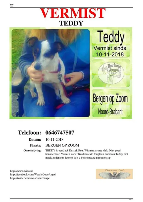 20181112 boz teddyvermist 001