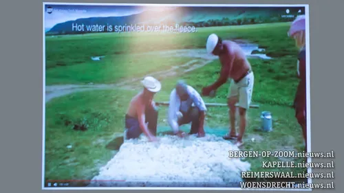 20190328 boz arsis christine 003