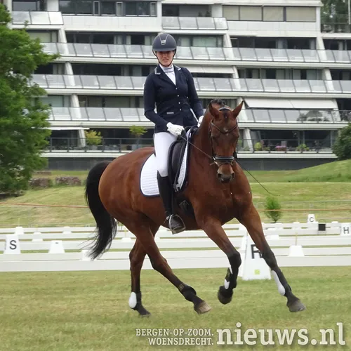 20190609 boz concourshippique 001