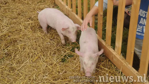 20210912 woe boerendag 019