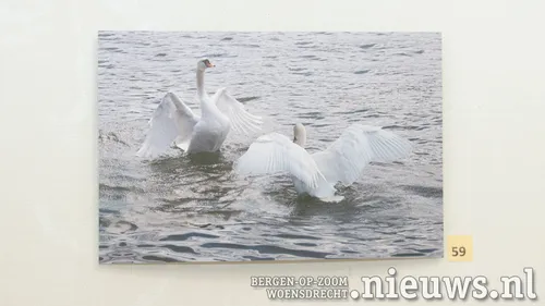 20211120 sta kunstkring 006