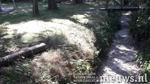 droogte antwerpsestraatweg 124 te hoogerheide