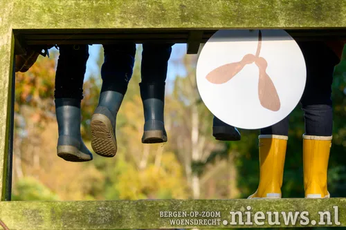 herfstspeurtocht 2022 arboretum kalmthout 2 1