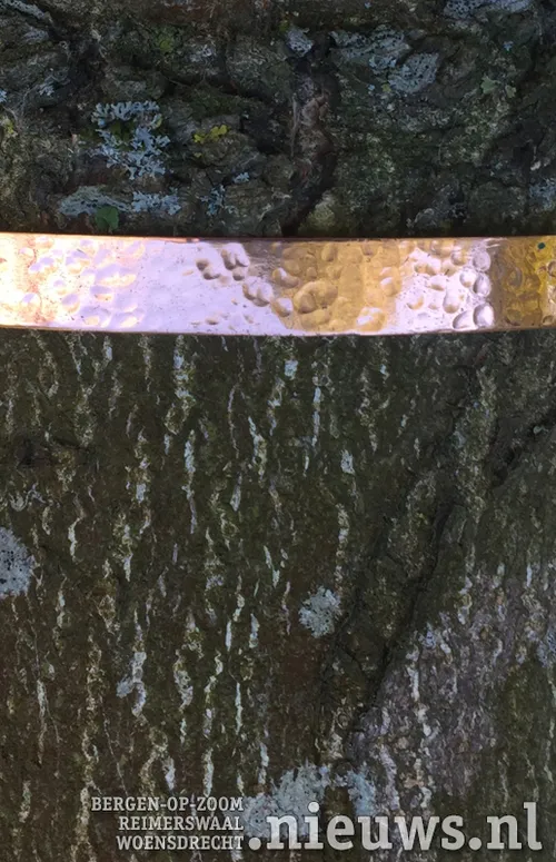 jodrike boom met koperband