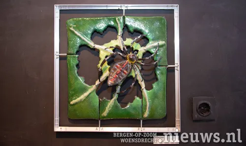 'De Kruisspin' van Ruud Kaper