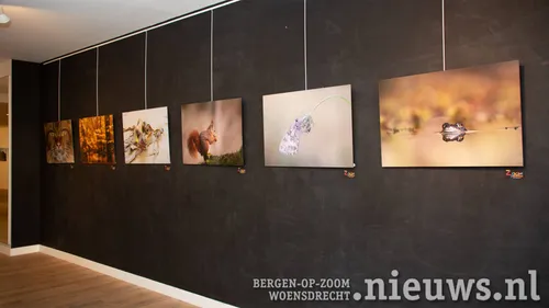 Prachtige natuurfoto's naast de ingang van de galerie