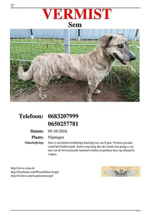 14642796 988403794622177 205298045 n