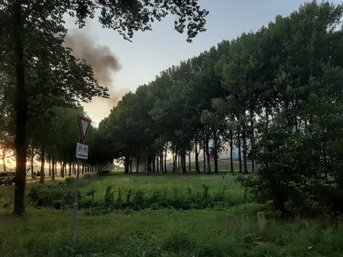 1ae03921 4978 4d3f 847e cd66c637d55c