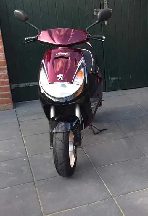 201152395 163387832481270 3689715154145544049 n 1