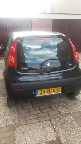 20624180 1700339376942377 1649445838 n