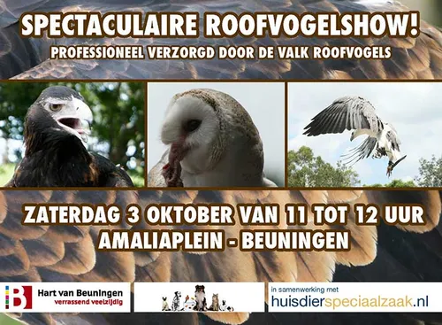dierendag poster