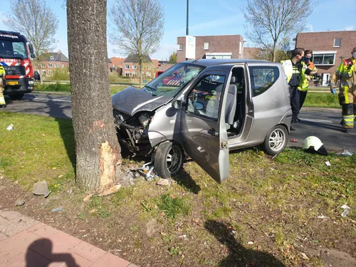 photo5767036241597019466