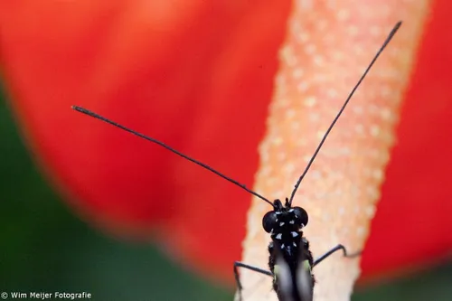 1015034 775795855765702 1029472736 o