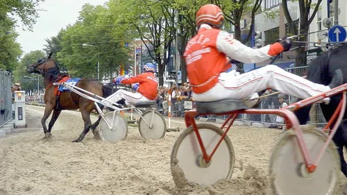 10320266 717506744985177 3559944050992435066 n