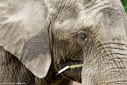 10514204 837347119610575 2804783142408181058 o