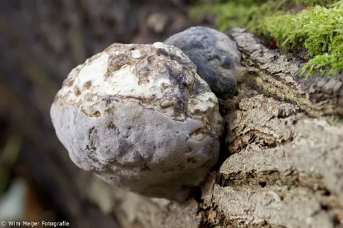 10547189 907382182607068 1915750691374485763 o